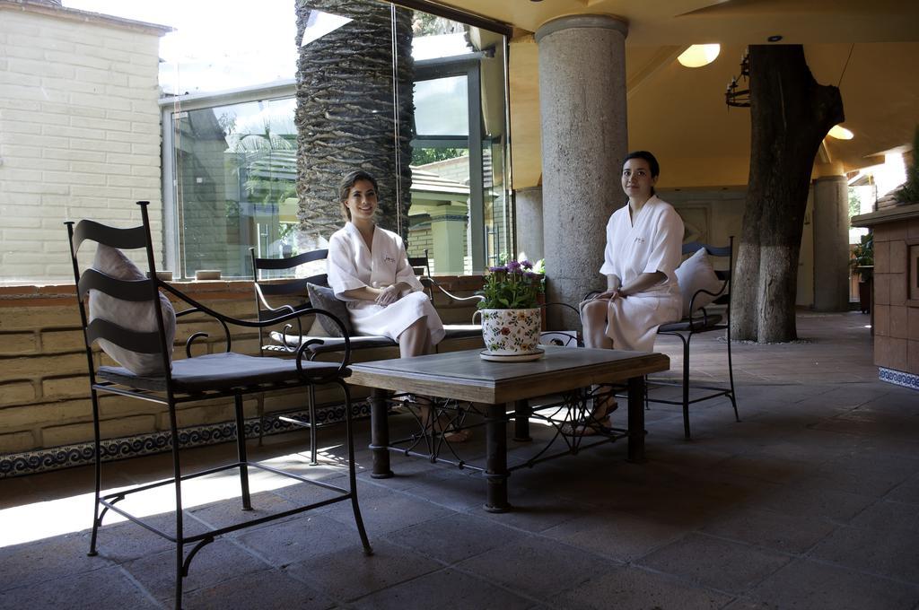 Hotel Los Olivos Spa オアハカ州 エクステリア 写真