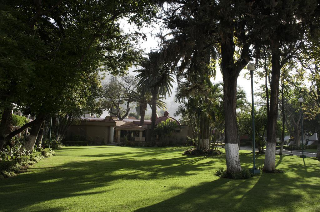 Hotel Los Olivos Spa オアハカ州 エクステリア 写真
